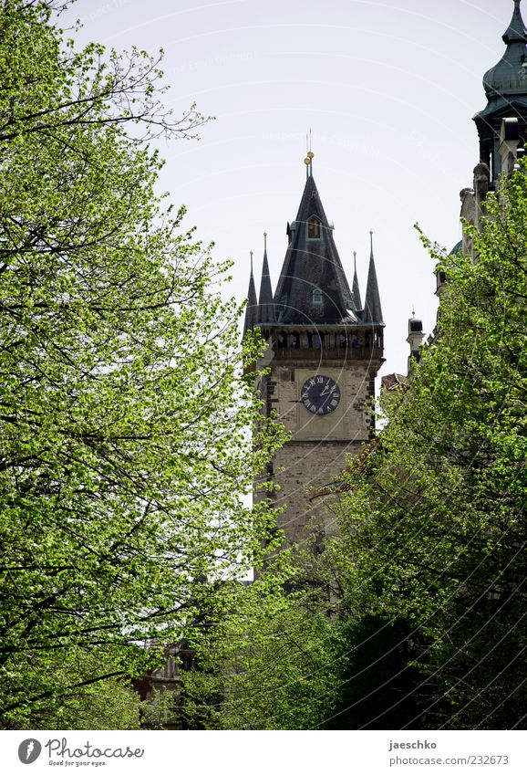 Prague Spring Czech Republic Capital city Old town Church Manmade structures Architecture Tourist Attraction Landmark Historic Tree Tower Church tower clock
