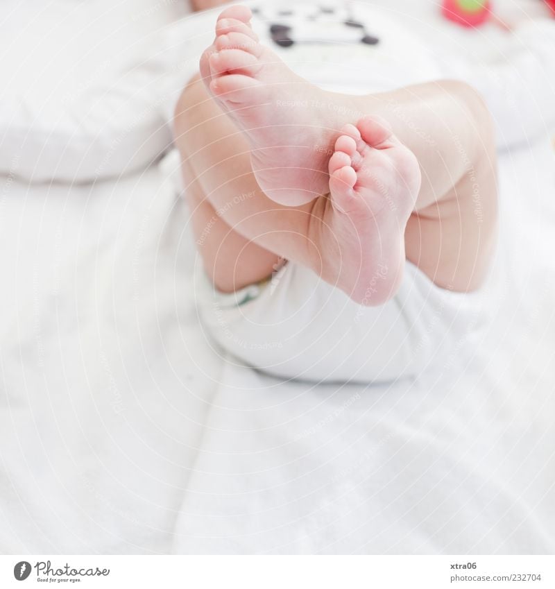 feet Human being Baby Girl Legs Feet 1 0 - 12 months Cute Colour photo Subdued colour Interior shot Copy Space bottom Delicate Pure White Couch Copy Space left