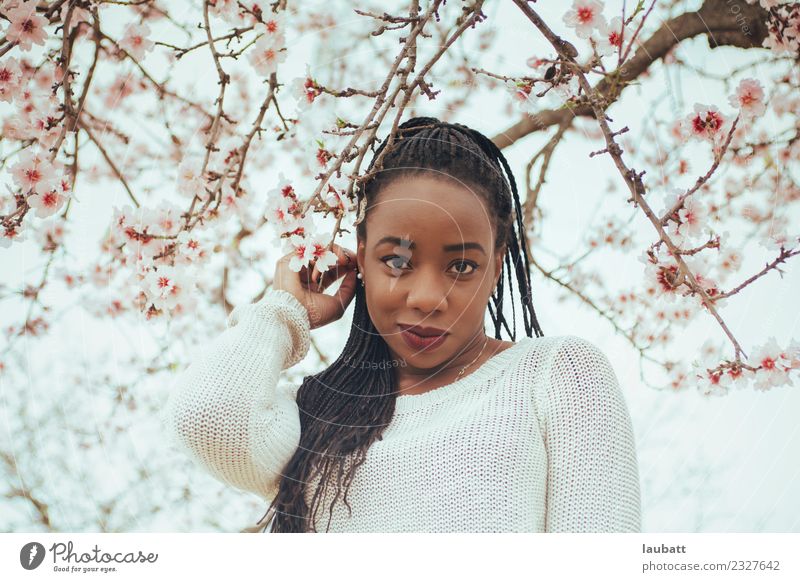 Almond blossom Lifestyle - a Royalty Free Stock Photo from Photocase