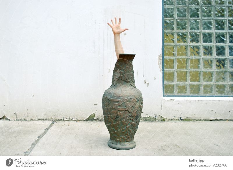 diet Arm Hand Fingers 1 Human being Fix China Vase Porcelain Hiding place Chinese Colour photo Subdued colour Exterior shot Light Shadow Contrast Whimsical
