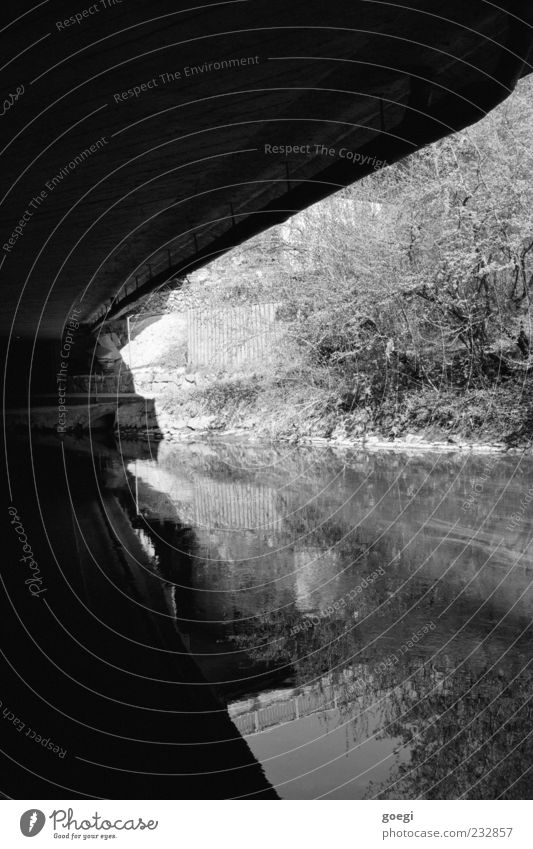 At the river II Landscape Water Plant Bushes Bridge Gloomy Black & white photo Exterior shot Deserted Reflection River bank Water reflection Surface of water