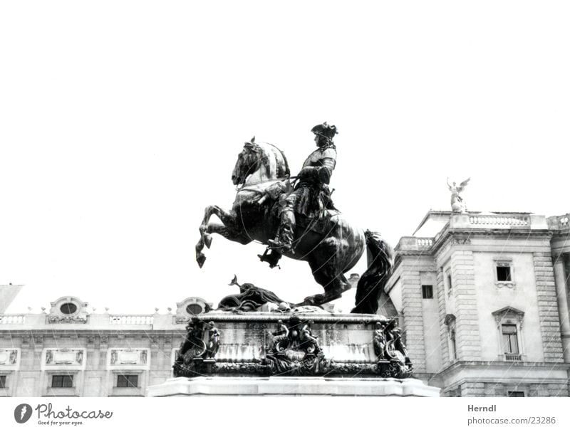 The rider in front of the Hofburg Statue Horse Vienna Black White King Historic Rider