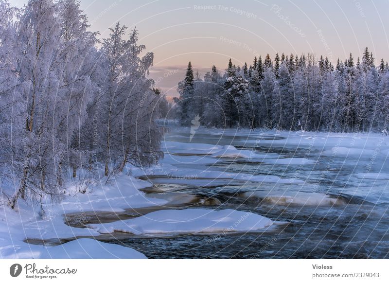 -28° II Environment Nature Landscape Water Sunrise Sunset Winter Snow Snowfall River bank Vacation & Travel Cool (slang) Cold Rovaniemi Frozen Mature White