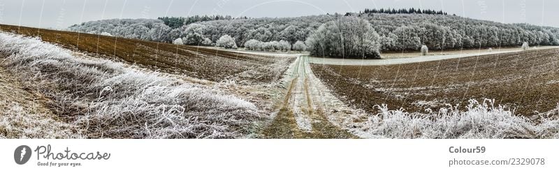Winter in Central Hesse Far-off places Nature Landscape Weather Ice Frost Tree Field Forest Snowcapped peak Deserted Lanes & trails Esthetic Cold Long