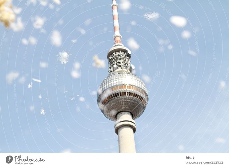 FINALLY!!! ... Cloudless sky spring Summer Capital city Deserted Tower Manmade structures Architecture Tourist Attraction Landmark Berlin TV Tower Flying