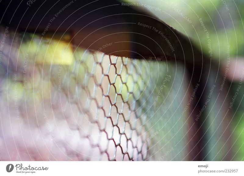 made with a nikon Nature Garden Network Wire netting Wire netting fence Fence Border Captured Boundary Pattern Analog Colour photo Exterior shot