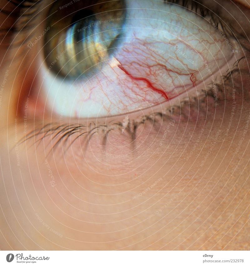 rivulet Eyes Eyelash Looking Disgust Colour photo Detail Reflection Vessel Burst Copy Space bottom Blood Snapshot Pupil Iris