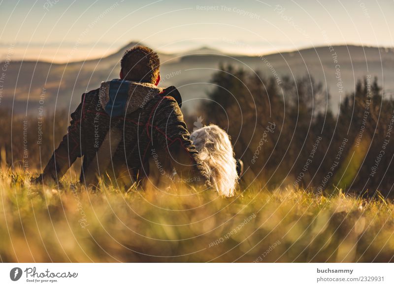 Man with his dog Far-off places Mountain Friendship Nature Landscape Meadow Pelt Black-haired Dog Sit Together Small White alpine view Man Man Back