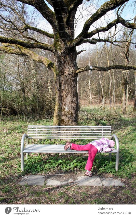 Tired by Nature Human being Child Girl Infancy 1 Plant Beautiful weather Tree Forest Lie Sleep Green Calm Boredom Fatigue Reluctance Exhaustion Bench