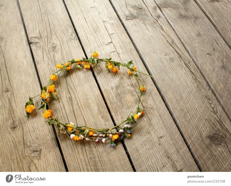 Wreath of meadow flowers lies on wooden planks Nature Spring Summer Plant Flower Flower wreath Kitsch Odds and ends Esthetic Yellow Green White Daisy Wood