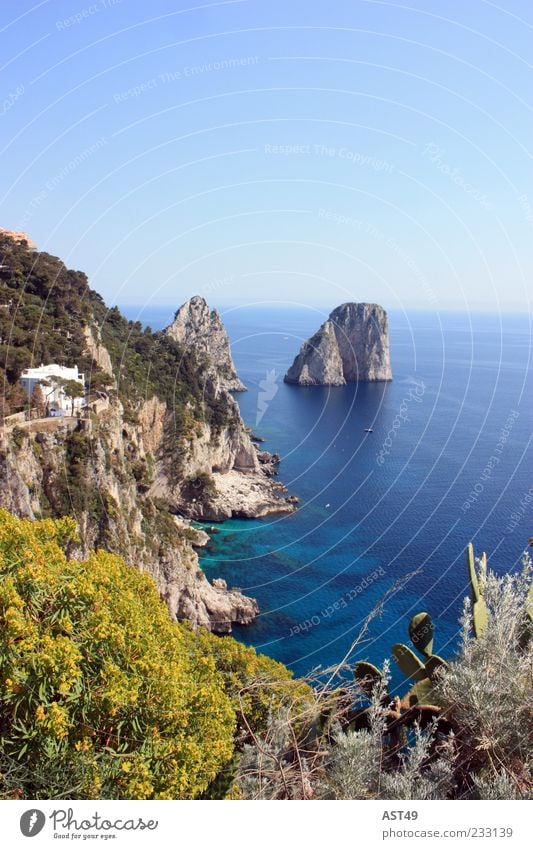 Capri with sun Calm Vacation & Travel Far-off places Summer Summer vacation Ocean Island Mountain Rock Coast Bay Italy Beautiful Relaxation Horizon Nature