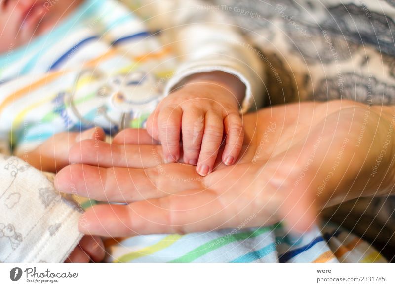 The hand of a newborn baby Human being Baby Hand To hold on Growth Love Responsibility Life Colour photo Interior shot Detail Copy Space top Copy Space bottom