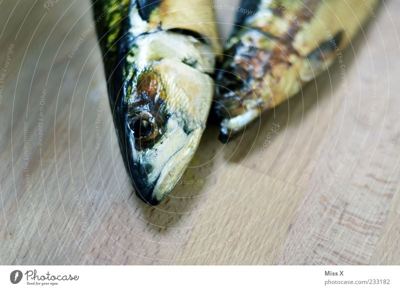 snuggle Food Fish Nutrition Scales 2 Animal Cold Trout Mackerel Fish head Wooden board Death Colour photo Close-up Detail Deserted Copy Space bottom Wood grain
