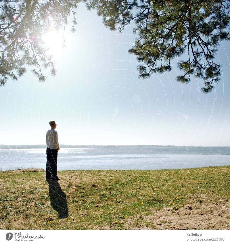 seaside Human being Woman Adults Life 1 Environment Nature Landscape Earth Water Sky Sun Climate Beautiful weather Plant Tree Coast Lakeside Beach Baltic Sea