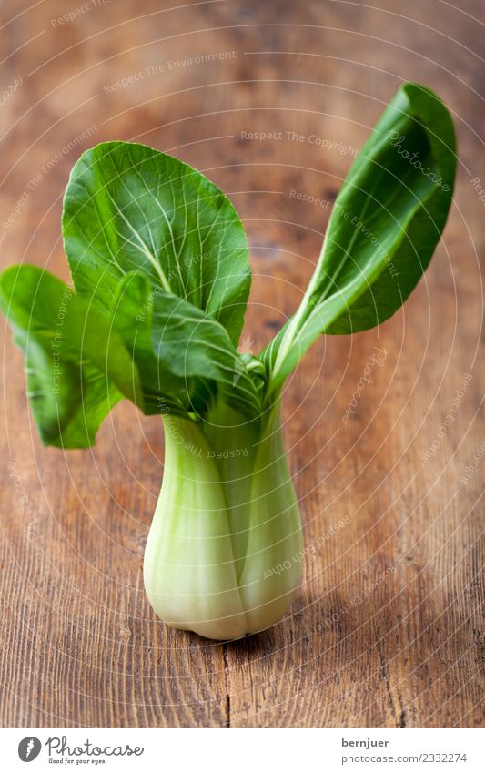 Pak Choi Food Vegetable Nutrition Eating Organic produce Vegetarian diet Good Brown Green Cleanliness Purity Idea Pak choy Brassica rapa chinensis Cabbage Asia