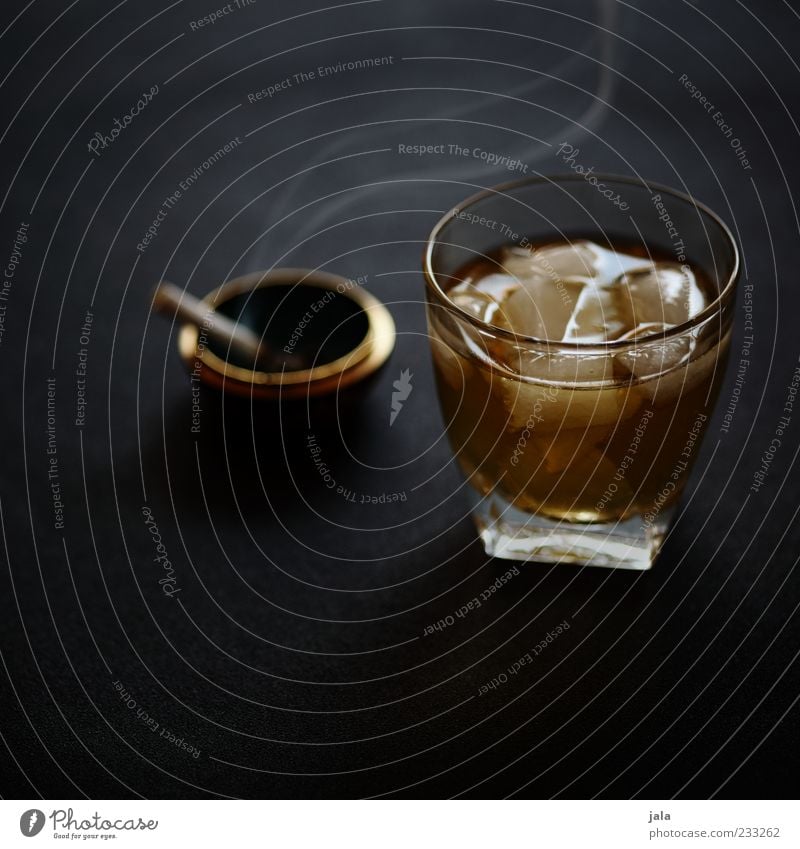 all the best jo! I'll drink to you! Beverage Alcoholic drinks Whiskey Whiskey glass Glass Good Cigarette Ashtray Ice cube Addiction To enjoy Colour photo