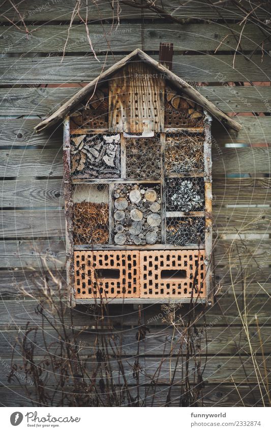 Insect hotel hangs on wooden wall Environment Nature Winter Living or residing Winter activities Hotel Stone Wood Nest Nest-building Survive