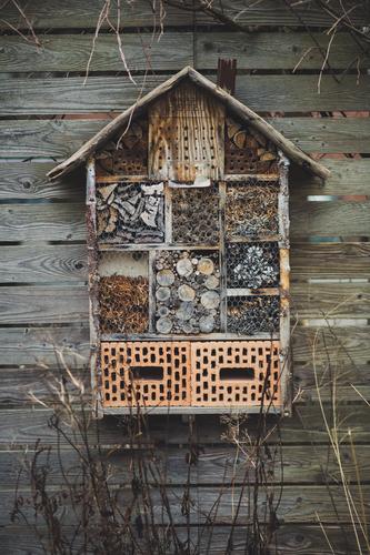 Insect hotel hangs on wooden wall Environment Nature Winter Living or residing Winter activities Hotel Stone Wood Nest Nest-building Survive