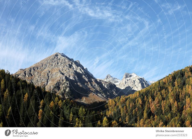 hairdryer Vacation & Travel Tourism Trip Mountain Nature Landscape Plant Sky Clouds Autumn Beautiful weather Tree Rock Alps Bernina Mountains Bernina pass Peak