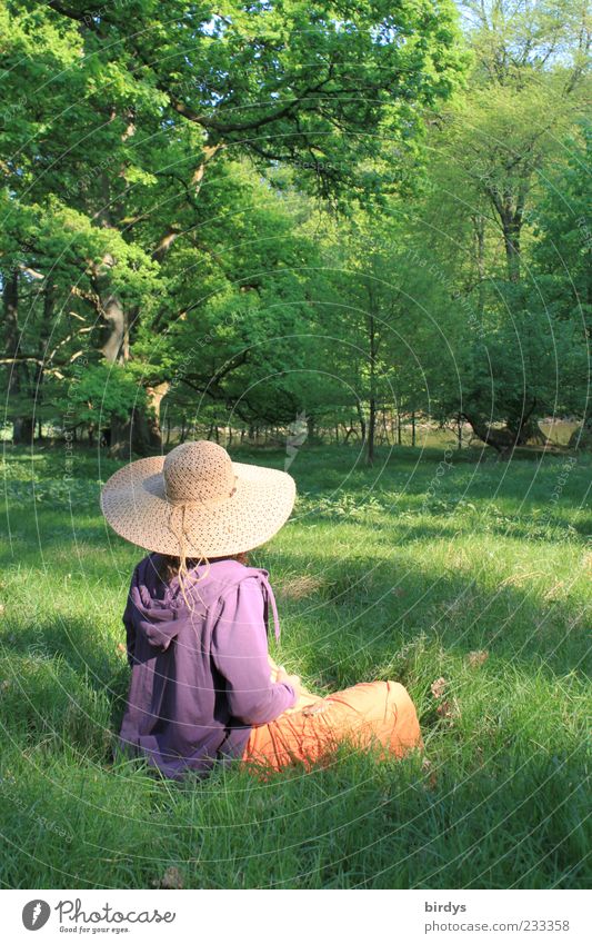 Woman with straw hat sits in a forest clearing Feminine Meadow Beautiful weather Clearing Romance Spring day Straw hat To enjoy relaxation Style Happy Calm