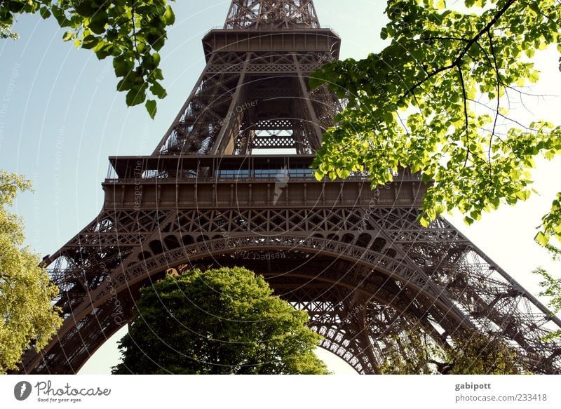 steel truss tower Paris Tower Manmade structures Building Architecture Tourist Attraction Landmark Eiffel Tower Famousness Fantastic Steel carrier Leaf Tree