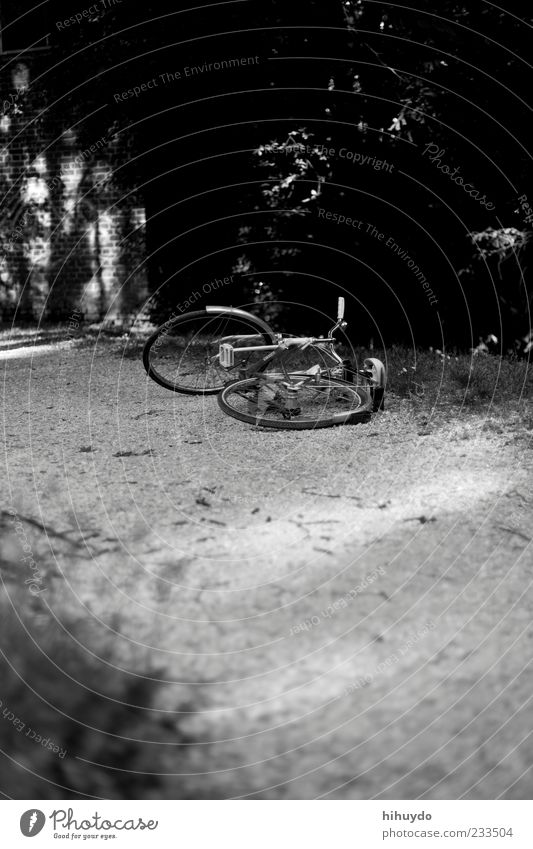 sleeping time Bicycle Nature Meadow Calm Black & white photo Exterior shot Deserted Copy Space bottom Day Twilight Contrast Sunlight Deep depth of field Couch
