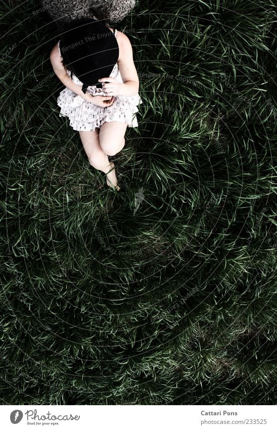 relaxed rabbit Human being Feminine Young woman Youth (Young adults) 1 Nature Plant Grass Dress Hat To hold on Green White Calm Mysterious Legs Arm Sit