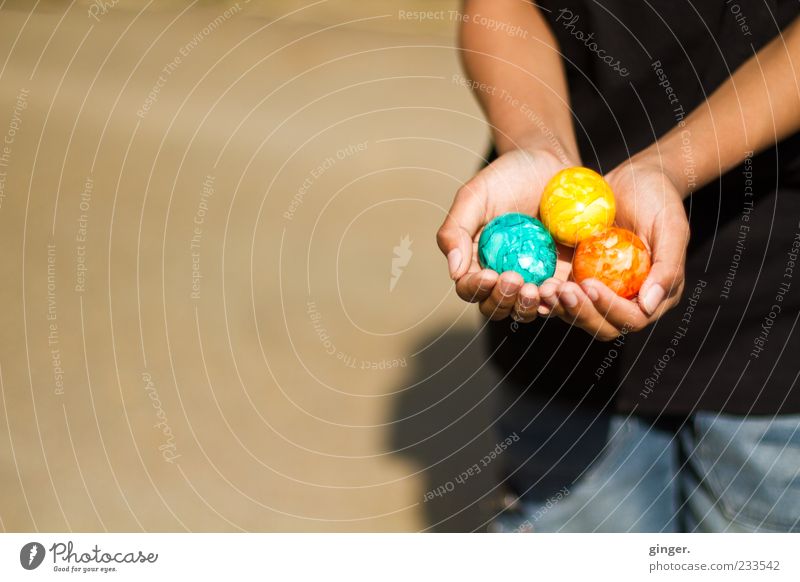 holiday yield Infancy Arm Hand Fingers 1 Human being Happiness Multicoloured Easter Public Holiday Easter egg 3 To hold on Indicate Offer Tradition Shadow Child