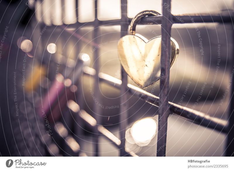lock of love Sign Signs and labeling Wedding Emotions Moody Joy Happiness Contentment Joie de vivre (Vitality) Optimism Passion Sympathy Friendship Together