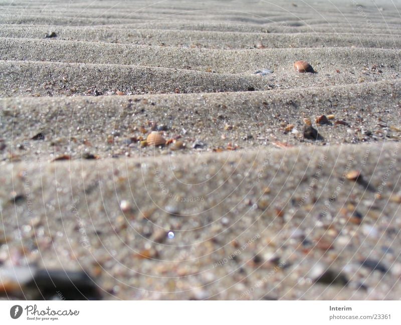 sand waves Beach Grain Mussel Waves Stone Undulating Sand Glittering Close-up Day