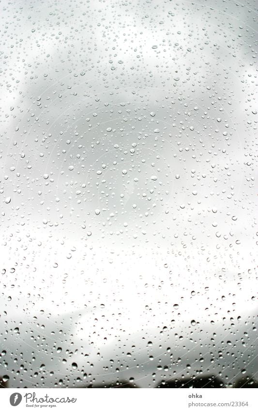 raindrop window Window Rain Wet Autumn Drops of water Water Window pane Weather