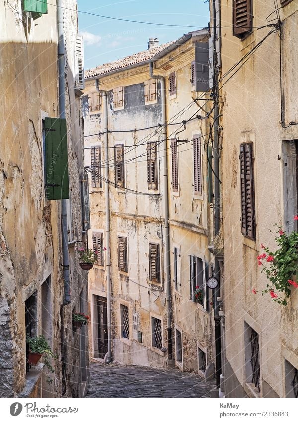 Alley in the Old Town of Motovun motovun Croatia Europe Small Town Old town Deserted House (Residential Structure) Building Architecture Facade Street Authentic