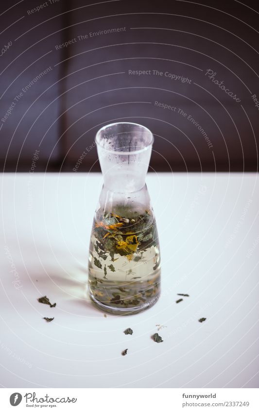 Carafe on white table with hot herbal tea Beverage Hot drink Tea Lifestyle Style Healthy Alternative medicine Healthy Eating Fresh Herbs and spices Herb tea