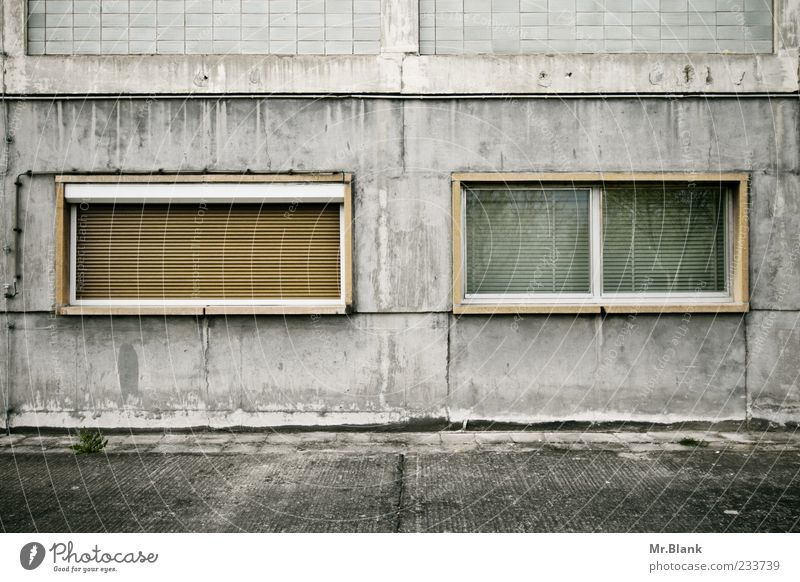 window confusion II Wall (barrier) Wall (building) Facade Old Hideous Brown Gray White Decline Derelict Uninhabited Colour photo Subdued colour Exterior shot