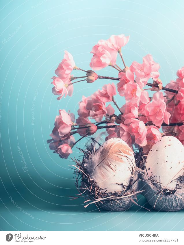 Easter card with eggs and pink flowers decoration Style Design Decoration Plant Bouquet Retro Pink Tradition Egg Carton Feather Blue Blossom Colour photo