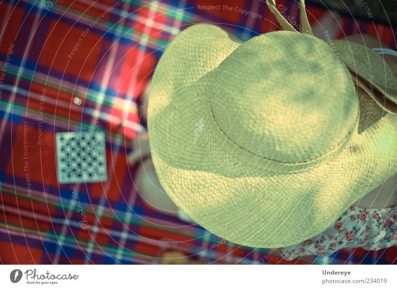 Chess 1 Human being Touch To enjoy Hat Checkered Picnic Red Blue Yellow Straw Leisure and hobbies Day Summer Colour photo Exterior shot Light Shadow