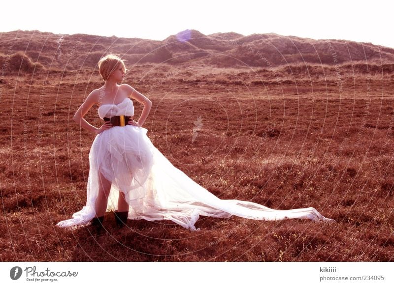 horizon Dress White Blonde Exterior shot Tulle Vail Meadow Hill Mountain Far-off places Steppe Stand Wait Copy Space right Back-light Lighting Hope