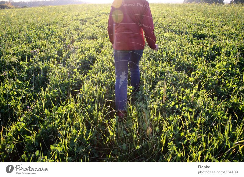 sunday 1 Human being Nature Landscape Sunlight Beautiful weather Grass Meadow Field Jeans Jacket Movement Going Walking Bright Loneliness Freedom Colour photo