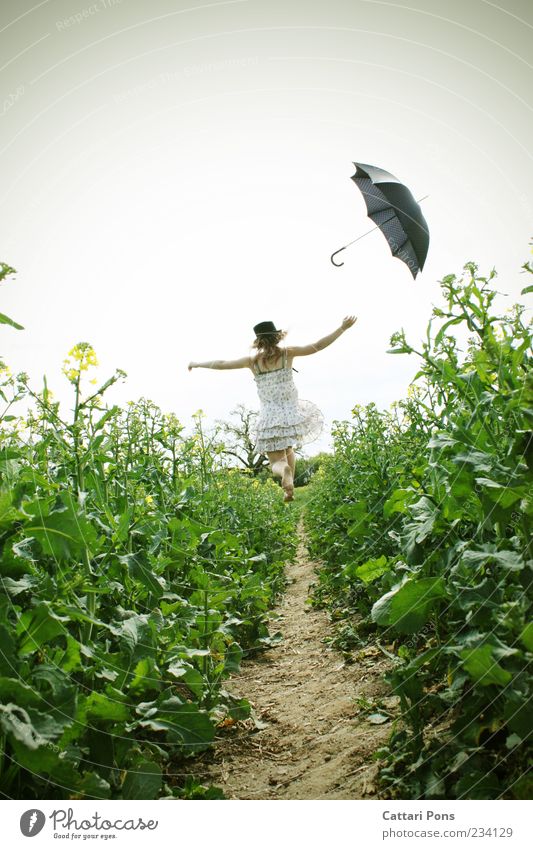 Miracle World Young woman Youth (Young adults) Woman Adults 1 Human being Plant Leaf Blossom Field Dress Accessory Umbrella Barefoot Hat Flying Jump Free