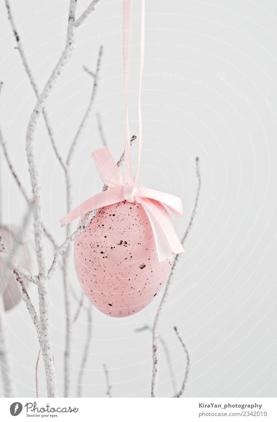 Pink decorative egg hanging on dry branch Design Happy Hunting Decoration Feasts & Celebrations Easter Landscape Spring Ornament String Long Yellow White Colour
