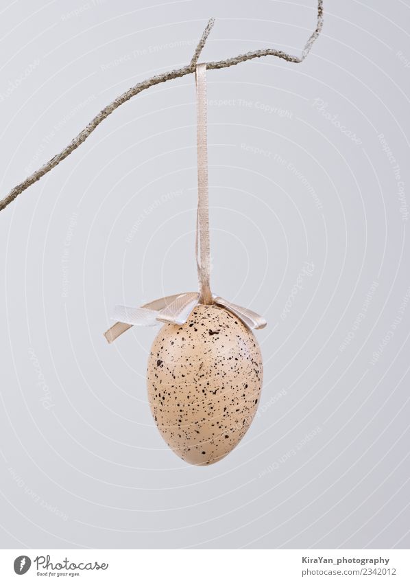 Natural beige decorative egg hanging on dry branch Design Happy Hunting Decoration Feasts & Celebrations Easter Landscape Spring Ornament String Long Yellow