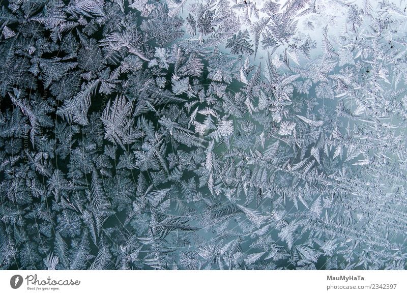 Ice patterns on winter Beautiful Winter Snow Christmas & Advent Nature Climate Weather Fresh Bright Natural New Blue Frost Frozen window glass ice Consistency