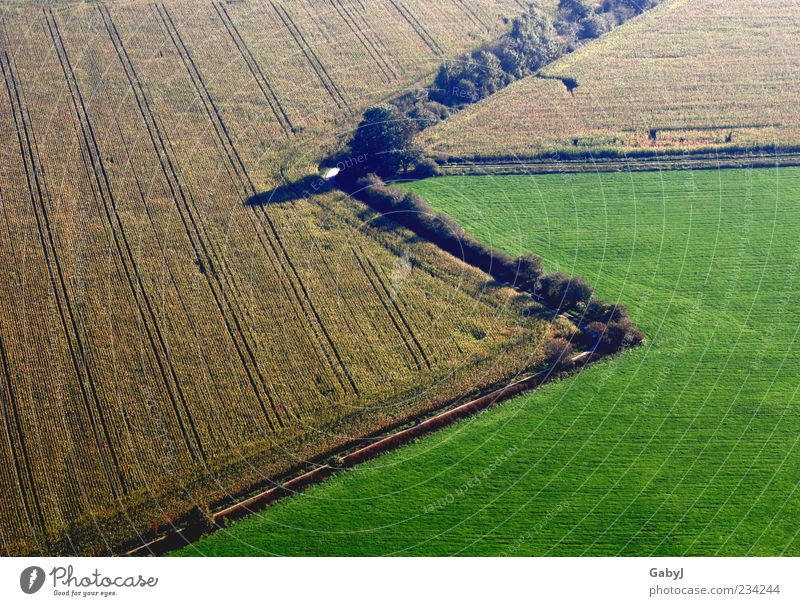 zap, zap Landscape Earth Autumn Maize field Field Sign Arrow Exceptional Natural Brown Yellow Green Change Aerial photograph Deserted Copy Space bottom Day