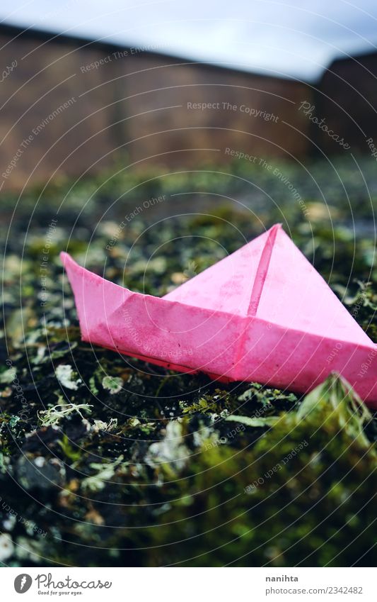 Pink paper boat in a sea of moss Leisure and hobbies Playing Children's game Origami Arts and crafts  Environment Nature Plant Beautiful weather Moss Transport