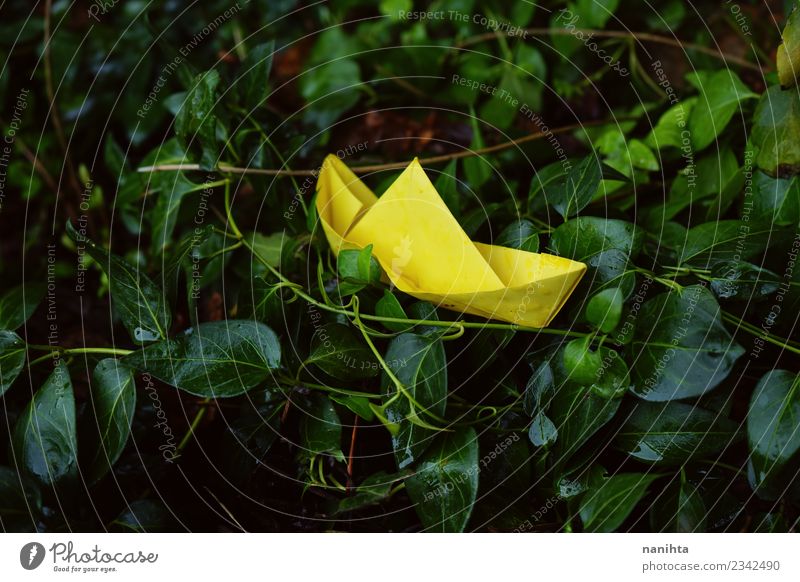 Yellow paper boat in a sea of green leaves Leisure and hobbies Playing Vacation & Travel Trip Adventure Environment Nature Plant Drops of water Rain Leaf Paper
