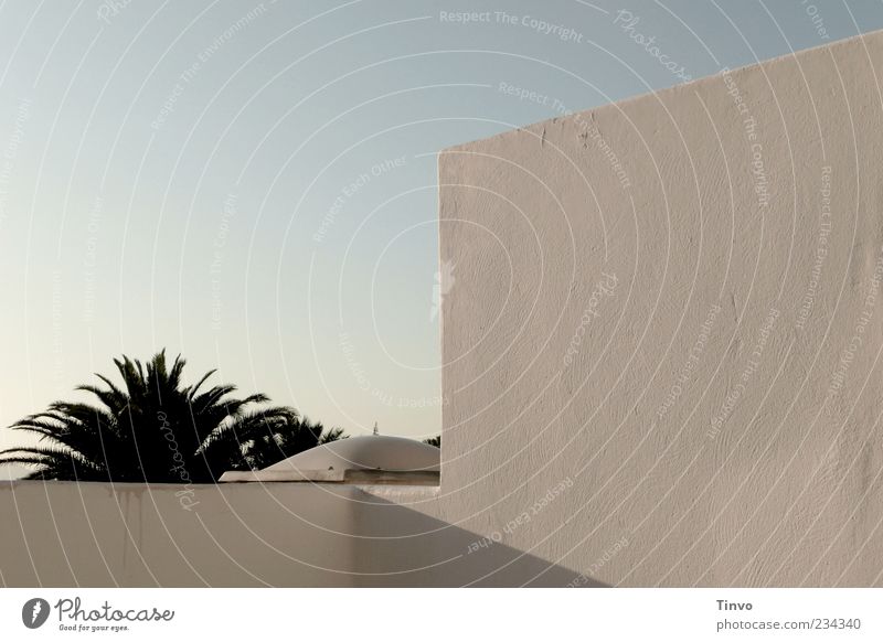 Spanish morning Sky Summer Beautiful weather Plant Exotic Wall (barrier) Wall (building) Facade Palm tree Terrace Roof Part of a building Lanzarote Canaries