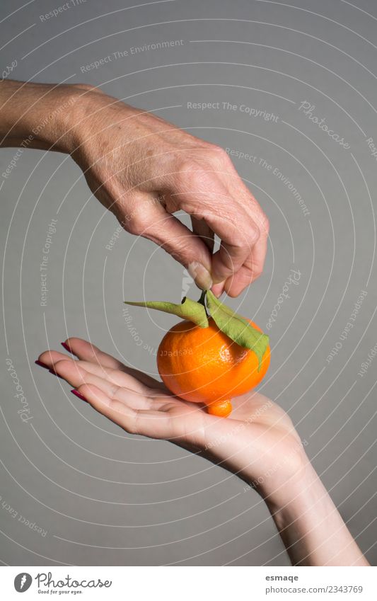 hands holding a natural orange Food Fruit Orange Nutrition Buffet Brunch Organic produce Lifestyle Joy Health care Hand 2 Human being Diet Exceptional Authentic