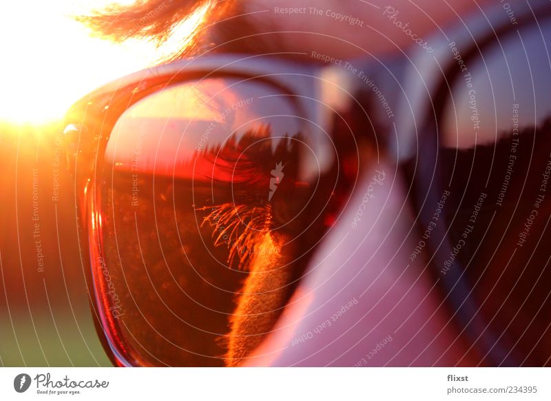 Sunglasses in use Hair and hairstyles Eyes 1 Human being Contentment Cool (slang) Eyelash Colour photo Exterior shot Twilight Reflection Back-light