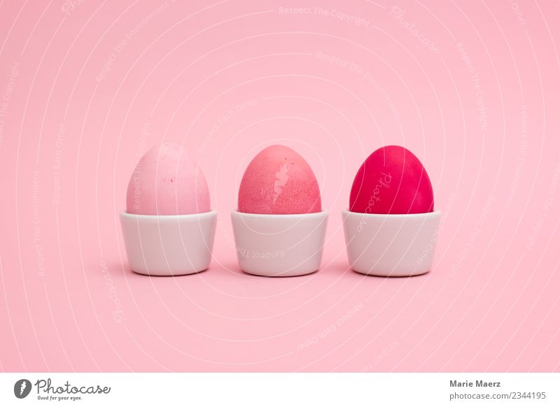 Three pink eggs in an egg cup Egg Nutrition Breakfast Design Easter Eating Esthetic Hip & trendy Beautiful Pink Cool (slang) Colour Idea Uniqueness Creativity