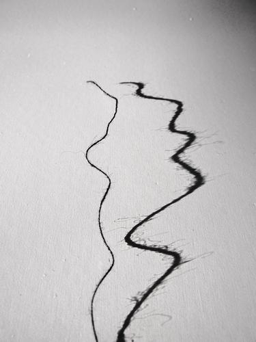 lost one's thread Line Gray Black White Sewing thread String Shadow Shadow play Curve Black & white photo Interior shot Pattern Structures and shapes Soft Thin